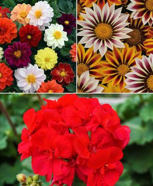 Complete Bedding Collection