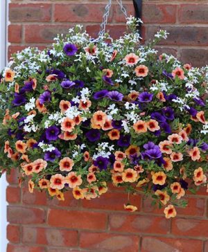 Fruit Salad Pre-Planted Basket