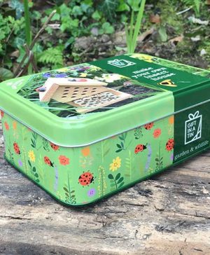 Make Your Own Insect House