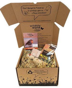 Woodland&nbsp;Gift Pack
