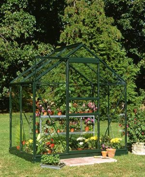 Halls Popular 64 (Green) Greenhouse-Toughened Glass