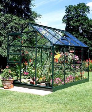 Halls Popular 68 (Green) Greenhouse-Toughened Glass