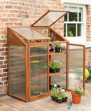 Hardwood Mini Greenhouse
