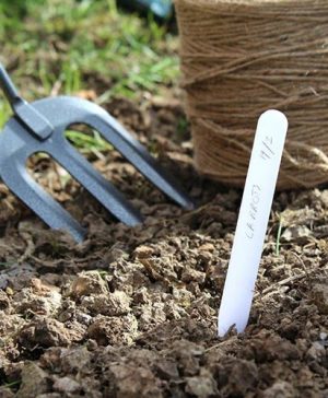 50 Plant Labels with Pencil