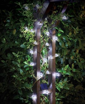 50 Super Bright Orbs