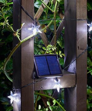 50 Super Bright Stars