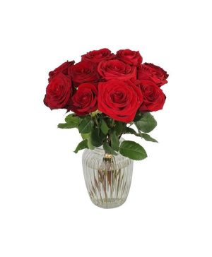 Garden A Dozen Red Roses Flowers & Plants Co.
