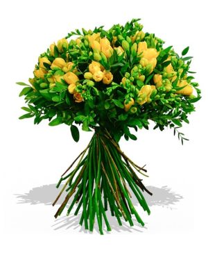 Garden Absolutely Fabulous Flowers & Plants Co.