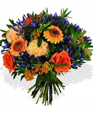 Garden Agapanthus and Rose Flowers & Plants Co.