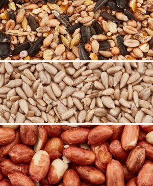 Garden All Seasons Bundle Thompson & Morgan