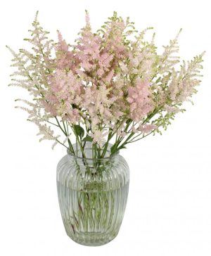 Garden Astounding Astilbe Flowers & Plants Co.