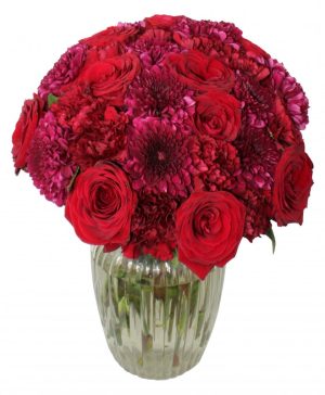 Garden Best of My Love Flowers & Plants Co.