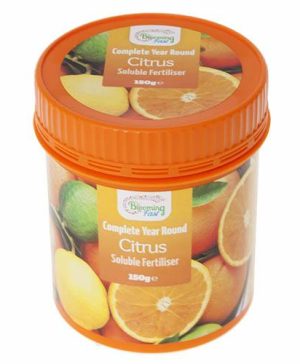 Blooming Fast Citrus Feed