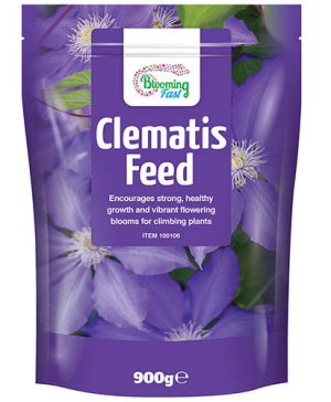 Blooming Fast Clematis Feed