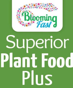 Blooming Fast Pre-Delivery Plant Treatment