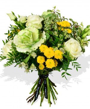 Garden Cabbage and Rose Flowers & Plants Co.