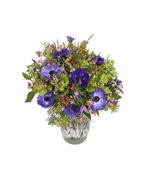 Garden Call of the Wild Flowers & Plants Co.