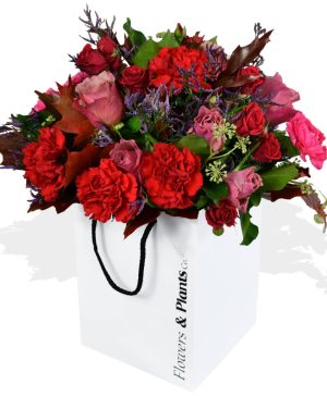 Garden Carnation and Roses Flowers & Plants Co.