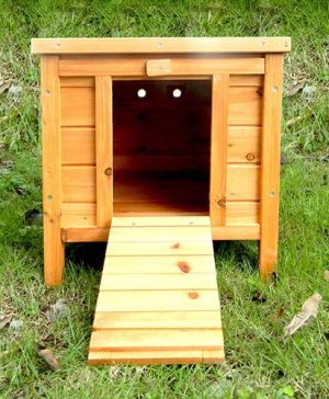 Charles Bentley Wooden Rabbit