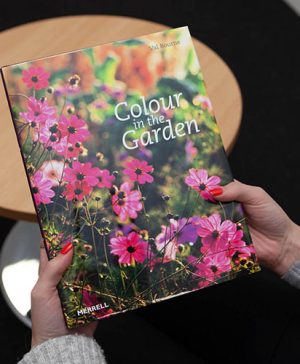 Colour in the Garden
