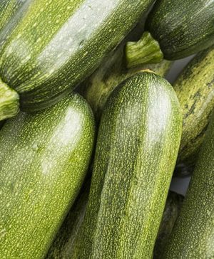 Courgette Patio Star