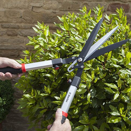 Darlac Tri-Blade Shears