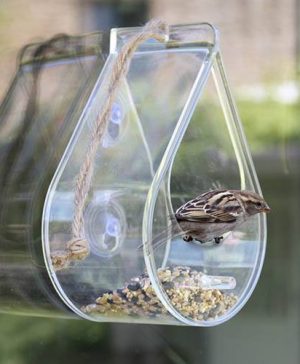 Dewdrop Window Feeder