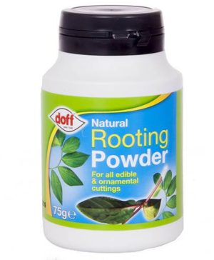 Doff Natural Rooting Powder 75g
