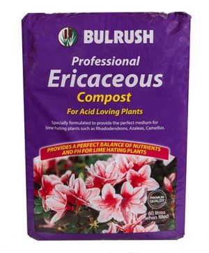 Ericaceous Compost 60L