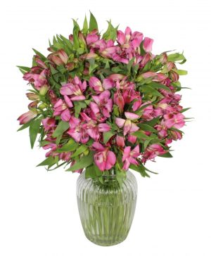 Garden Extravagant Alstro Flowers & Plants Co.