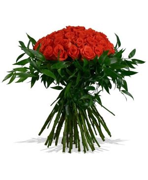 Garden Fallen For You Flowers & Plants Co.