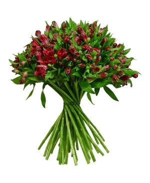 Garden Floral Crush Flowers & Plants Co.