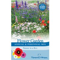 Flower Garden 'Annual and Perennial Mix' at Thompson & Morgan - Image 2