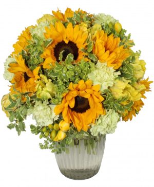 Garden From Here to Eternity Flowers & Plants Co.