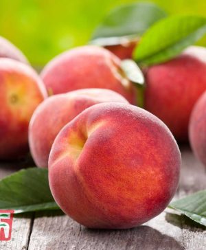 Garden Fruit Me&reg; 'Peach Me Red' (Mini Patio Tree) Thompson & Morgan