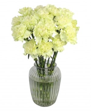 Garden Green Goddess Flowers & Plants Co.