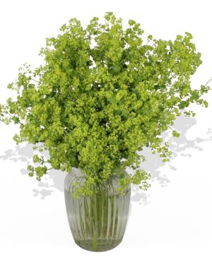 Garden Green Machine Flowers & Plants Co.