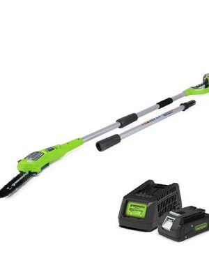 Greenworks 24V Polesaw with 2Ah Battery and Charger