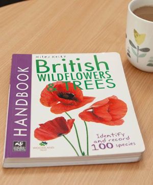 Handbook - British Wildflowers and Trees
