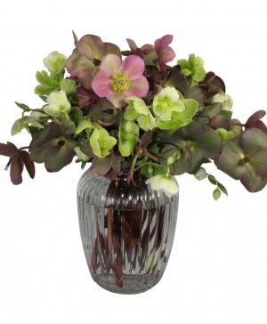 Garden Happy Go Lucky Flowers & Plants Co.