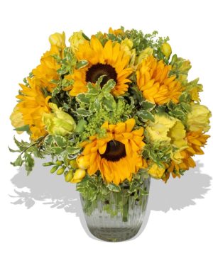 Garden Hello Sunshine Flowers & Plants Co.