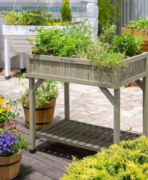 Herb Garden - Grey Wash