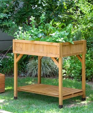 Herb Garden - Natural