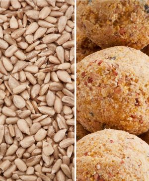 Garden High Energy High Fat Bundle Thompson & Morgan