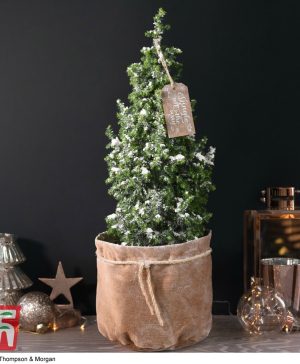 Garden Indoor Christmas Tree in Velvet Bag - Gift Thompson & Morgan