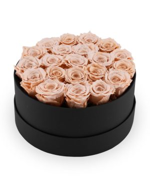 Garden Infinite Soho Champagne 2 Flowers & Plants Co.