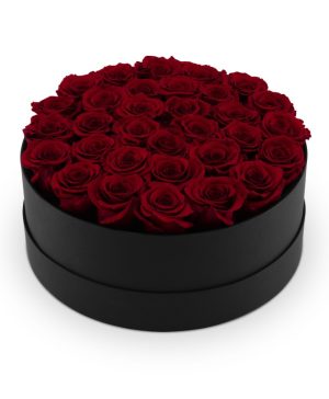 Garden Infinite Soho 'Scarlet' Flowers & Plants Co.