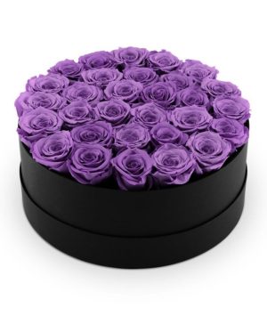 Garden Infinite Soho 'Violet' Flowers & Plants Co.