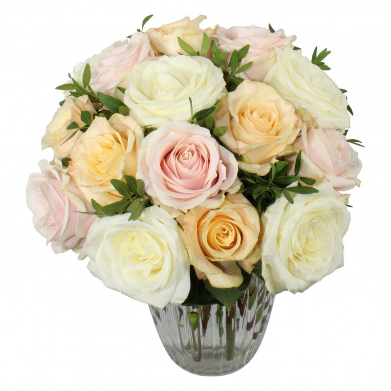 Garden Irresistible Rose Flowers & Plants Co.