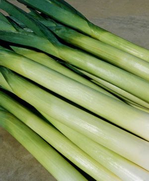Leek Walker